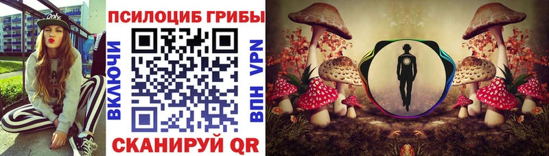 Купить  Никольск  Галлюциногенные грибы Magic Shrooms 