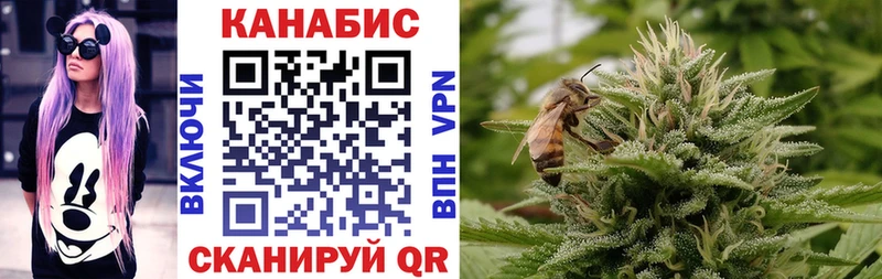 Купить где  Никольск  Канабис индика 